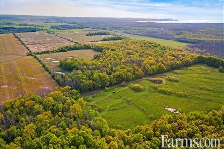 132 acres of bare land could be yours in Kincardine, Ontario ⏬

Looking for a great building site or expand your farming operation?

This might be for you: farms.com/farm-real-esta…

#OntAg #FarmForSale <a href="/farm_ontario/">Farm Ontario: Farm Real Estate</a>
