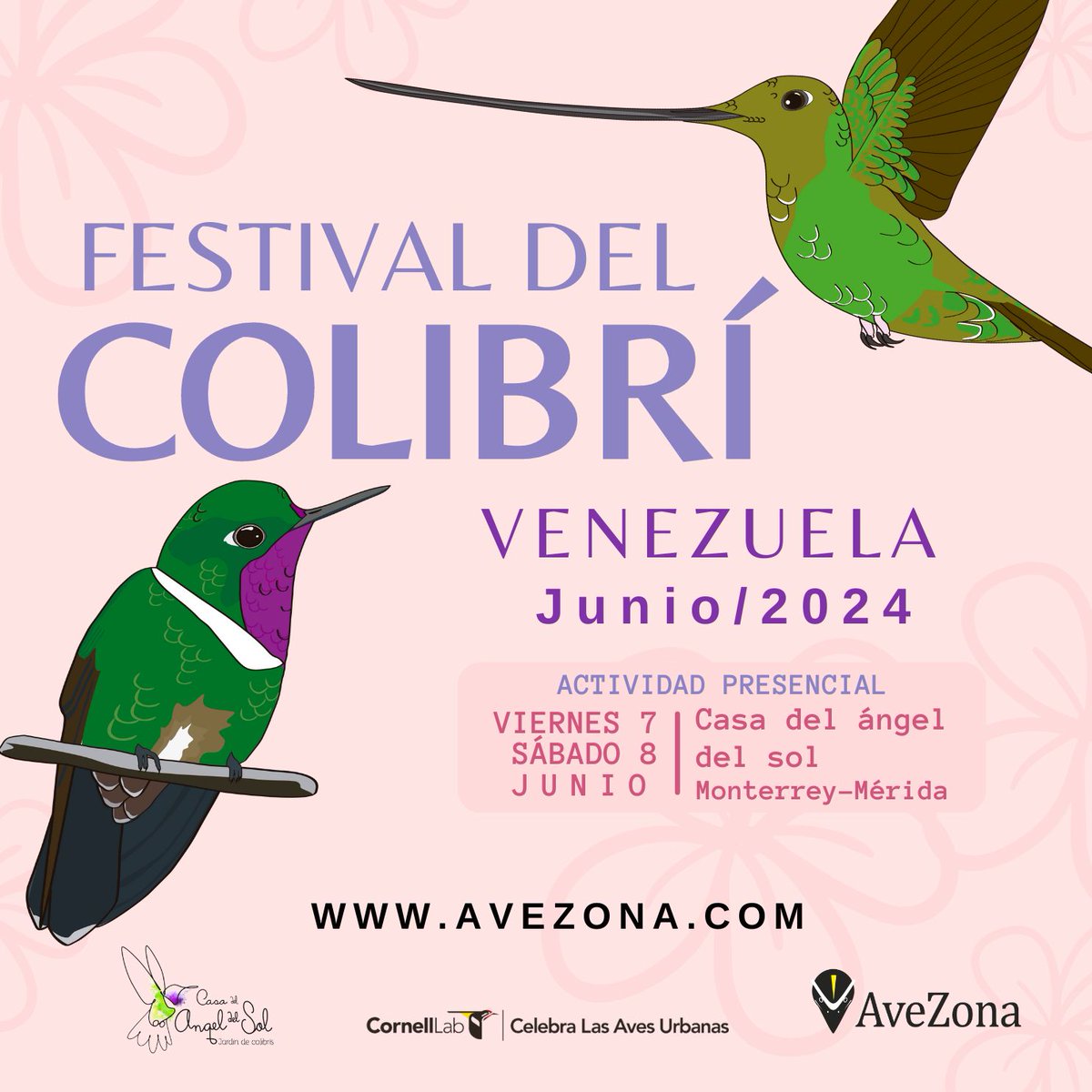 AveZona tweet media