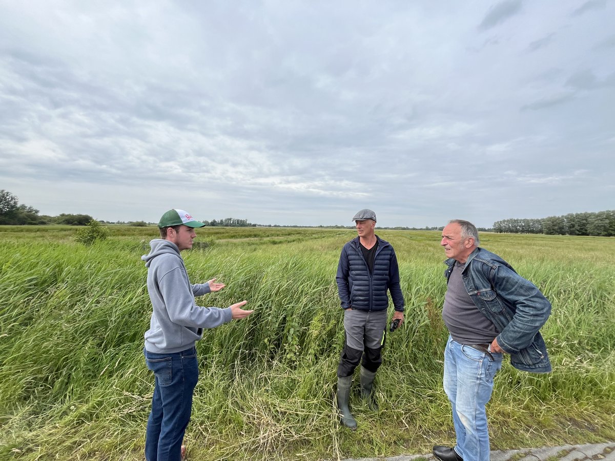 🌱🌿Us fraksje wie op wurkbesite yn de Twizelermieden en oare natuerpolders by Bûtenpost.

🪹It is in prachtich gebiet, mar it giet dêr net goed mei de greidefûgels. Fjildman Lieuwe van der Wijk hat ús sjen litten wêrom.

De FNP hat noed oer it behear en pakt it no polityk op.