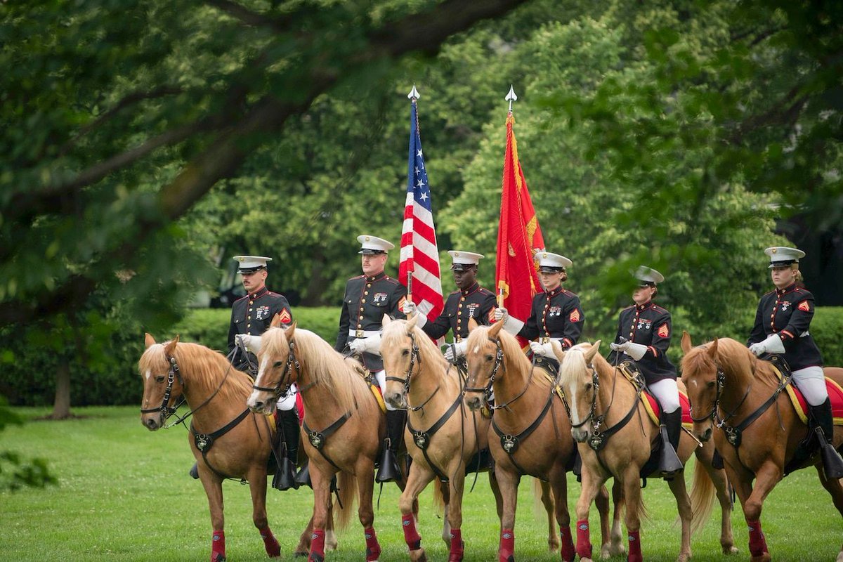 The Dept. on Defense on 'Mounted Marines Color the East Coast' 🇺🇸  #USMarines #military #military buff.ly/3KwIuzX