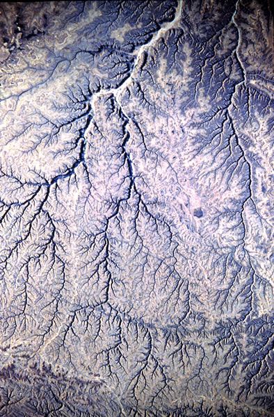 mexevbg369's tweet image. What did we learn about #Fractality in school?
Because in Nature, fractals are absolutely EVERYWHERE.

It should be covering 99% of our scholar education.
But unfortunately, z!on!sts dont want us to know, since 6000 years, so they teach us Einstein&apos;s (jew) nonsense.