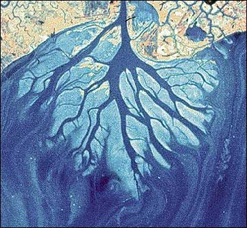 mexevbg369's tweet image. What did we learn about #Fractality in school?
Because in Nature, fractals are absolutely EVERYWHERE.

It should be covering 99% of our scholar education.
But unfortunately, z!on!sts dont want us to know, since 6000 years, so they teach us Einstein&apos;s (jew) nonsense.