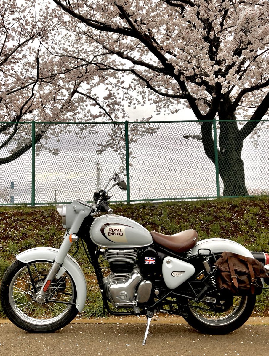 classic__350's tweet photo. バイク垢全然見てなかったけど、
この色廃盤になっちゃったんだね、、
なおさら愛せるじゃない
#Classic350 https://t.co/x9QIZJIdXs