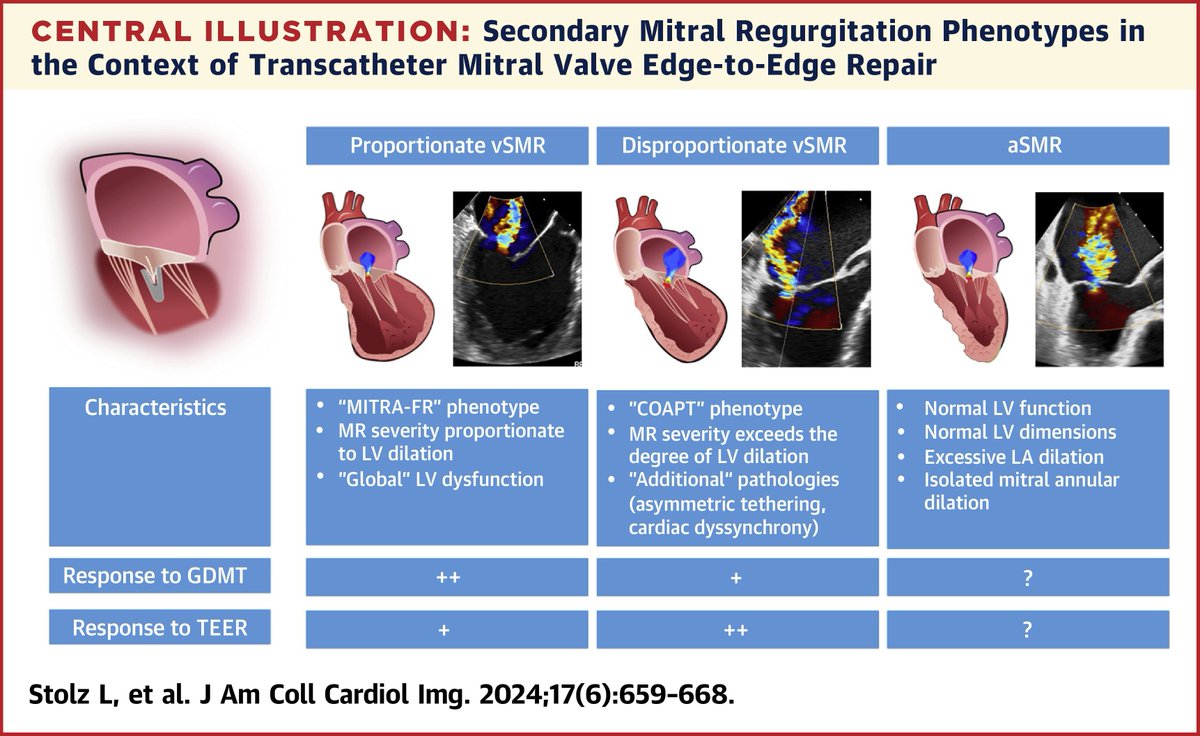 JACC Journals (@jaccjournals) on Twitter photo Check out the latest #JACCIMG state-of-the-art review on SMR, w/ an emphasis on #TEER.
SMR = heterogenous disease w/ different functional & morphological phenotypes. bit.ly/3wWizPj
#cvVHD @stolz_l @DoldiP <a href="/AnnaSannino1985/">Anna Sannino MD PhD FASE</a> <a href="/j_hausleiter/">jörg hausleiter</a> <a href="/p_grayburn/">Paul Grayburn</a> Check out the latest #JACCIMG state-of-the-art review on SMR, w/ an emphasis on #TEER.
SMR = heterogenous disease w/ different functional & morphological phenotypes. bit.ly/3wWizPj
#cvVHD @stolz_l @DoldiP <a href="/AnnaSannino1985/">Anna Sannino MD PhD FASE</a> <a href="/j_hausleiter/">jörg hausleiter</a> <a href="/p_grayburn/">Paul Grayburn</a>