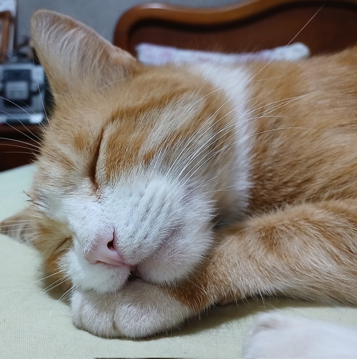 ᵐᶤˡᵉᶰᵃ🏁 tweet media