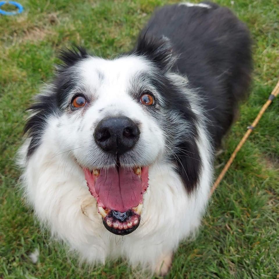 Rachael Goucher (she/her) tweet media