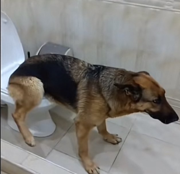 لا يرجال معليك خمس دقايق واجيك: