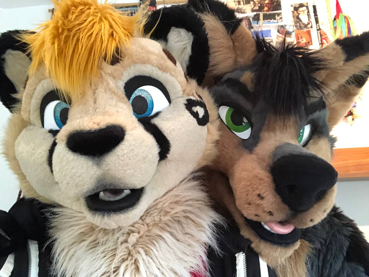Have a dog and a cute cheetah for #FursuitFriday
📷 = <a href="/littlecheetah_/">Litchee</a>
✂️ = <a href="/FursuitsByLacy/">Fursuits By Lacy</a> &amp; <a href="/MadeFurYou/">Made Fur You</a>