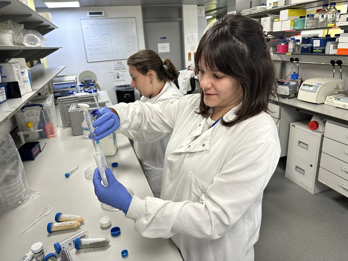Sherrianne Ng (@sherrianneng) on Twitter photo We take our Science very seriously and have optimised the ratio + conditions to make THE PERFECT SLIME for our “Microbiome Makers” activity! 🧪
Find us at the “SheBlooms: Supporting Female Health” stand next weekend <a href="/ExRdFestival/">Great Exhibition Road Festival</a> to learn more about the Vaginal Microbiome!🔬 We take our Science very seriously and have optimised the ratio + conditions to make THE PERFECT SLIME for our “Microbiome Makers” activity! 🧪
Find us at the “SheBlooms: Supporting Female Health” stand next weekend <a href="/ExRdFestival/">Great Exhibition Road Festival</a> to learn more about the Vaginal Microbiome!🔬