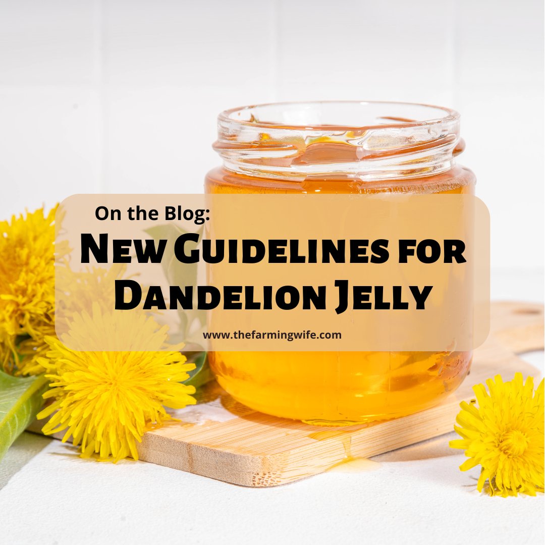 Some of you may know that I am extremely passionate about food preservation. I love to explore the science behind food and food safety. I experiment with recipes daily, but when it comes to making foods safe to sit on a shelf? I follow the science. Botulism is no joke.