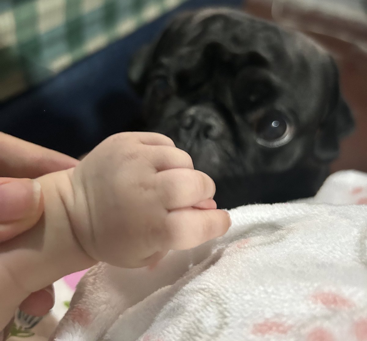 Antonieta Garay tweet media