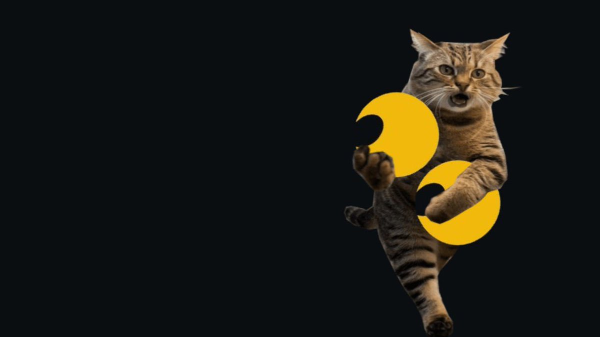<a href="/binance/">Binance</a> A cat that can easily steal away sadness and leave behind happiness.😸