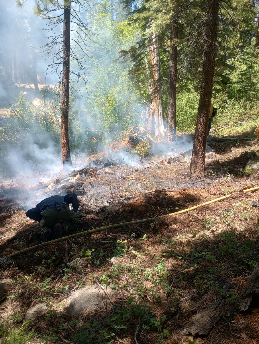 LakeTahoeUSFS's tweet photo. Thankfully, a quick response yesterday by USDA Forest Service LTBMU, @CALFIRENEU, @NLTahoeFire, @NTFPD_ firefighters stopped a wildfire above Kings Beach at 1/10 acre. The Beach Fire is now contained and controlled and the cause is under investigation. #BeachFire #FireYear2024 https://t.co/CiEMp63FcN