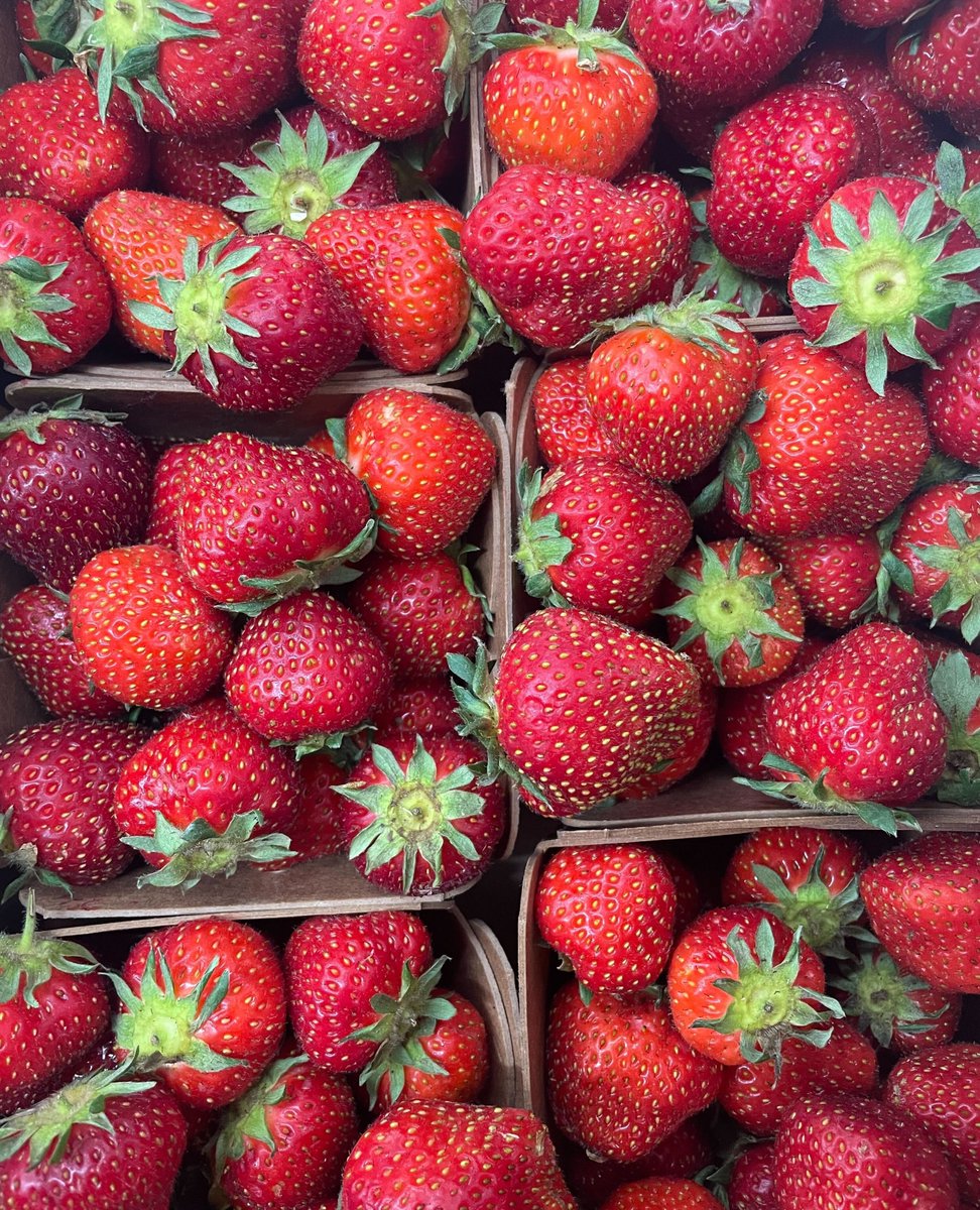 🍓🍓🍓🍓It's strawberry time! 🍓🍓🍓🍓We're thrilled to have a steady stream of locally/regionally grown strawberries in stock on the regular right now. Visit us for all your shortcake, strawberry-rhubarb pie, sundae, and related needs today! 🍓🍓🍓🍓