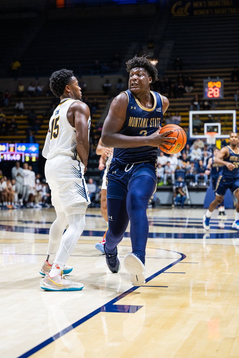 Montana State Men’s Basketball tweet media
