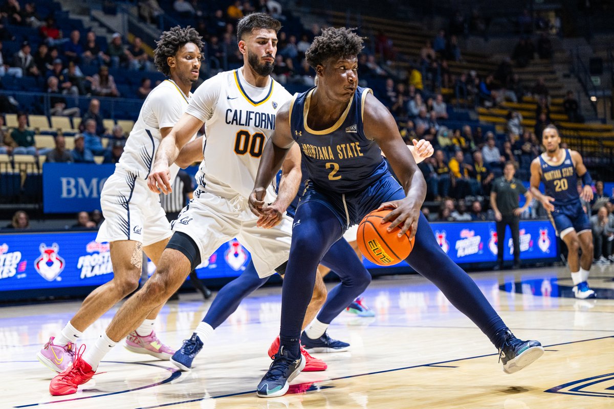 Montana State Men’s Basketball tweet media