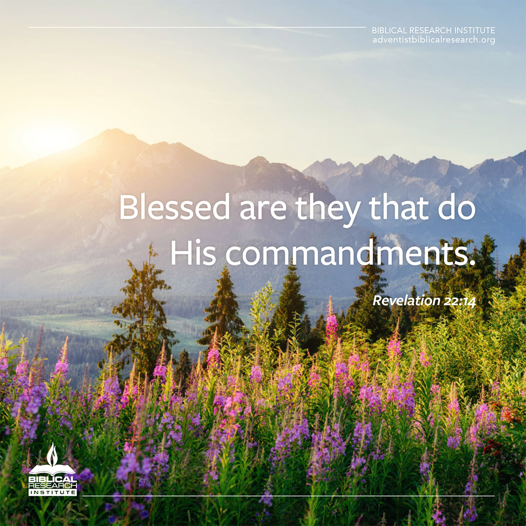 Biblical Research Institute tweet media