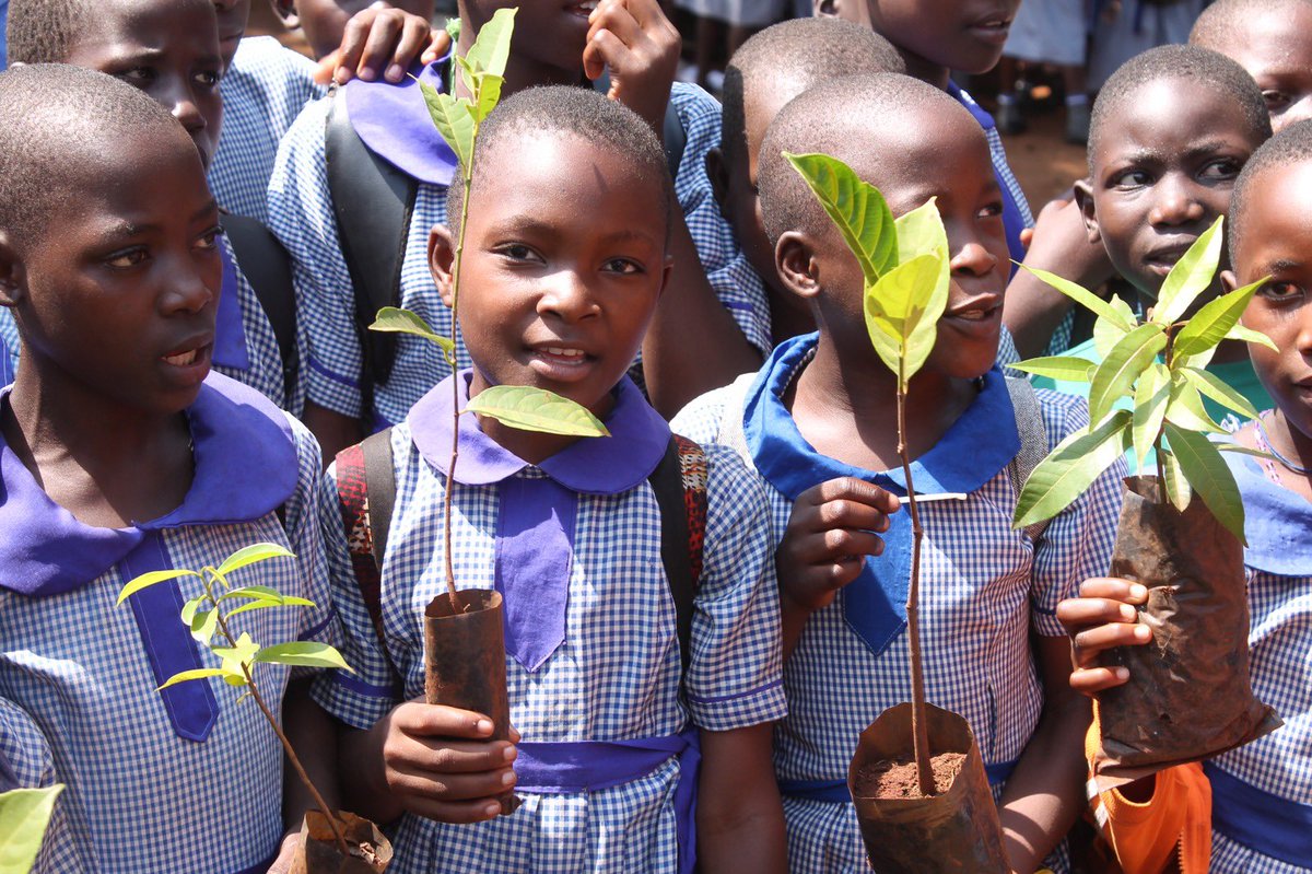 drohaug's tweet photo. We are scaling up to reach out to in school girls with SRHRs, WASH information integrated with fruit tree planting. This is covering districts of Kamuli, Mayuge, Luuka, and Jinja. 
#Keepingherinschoolunderasafeenvironment. https://t.co/8vbW7ErWs8