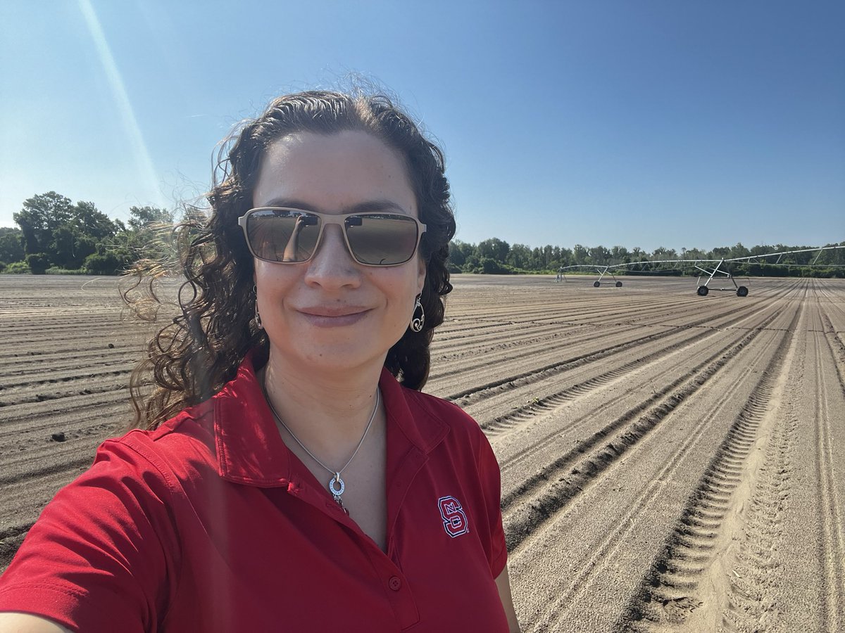 NC State Veggie Pathology (@quesadalabncsu) on Twitter photo Went to catch some cucurbit #downymildew spores with <a href="/MPrietoTorres/">Mariana Prieto Torres</a> <a href="/HCollinsNCSU/">Hunter Collins</a> and other folks this morning. No cukes yet but stay tunned 👀 🥒 <a href="/Cuccap_website/">Cucurbit Coordinated Agricultural Project</a> <a href="/NC_PSI/">N.C. Plant Sciences Initiative</a> <a href="/NCSU_DEPP/">NCSU Entomology & Plant Pathology</a> Went to catch some cucurbit #downymildew spores with <a href="/MPrietoTorres/">Mariana Prieto Torres</a> <a href="/HCollinsNCSU/">Hunter Collins</a> and other folks this morning. No cukes yet but stay tunned 👀 🥒 <a href="/Cuccap_website/">Cucurbit Coordinated Agricultural Project</a> <a href="/NC_PSI/">N.C. Plant Sciences Initiative</a> <a href="/NCSU_DEPP/">NCSU Entomology & Plant Pathology</a>