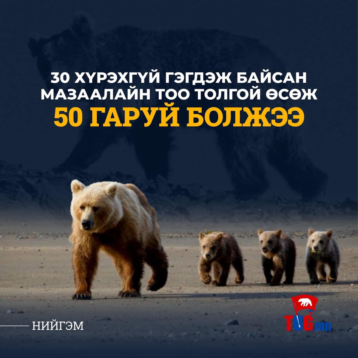 zulegchin_zul's tweet photo. 🔵Мазаалайн тоо толгой өсөж 50 гаруй болжээ https://t.co/UXMoATjCAv