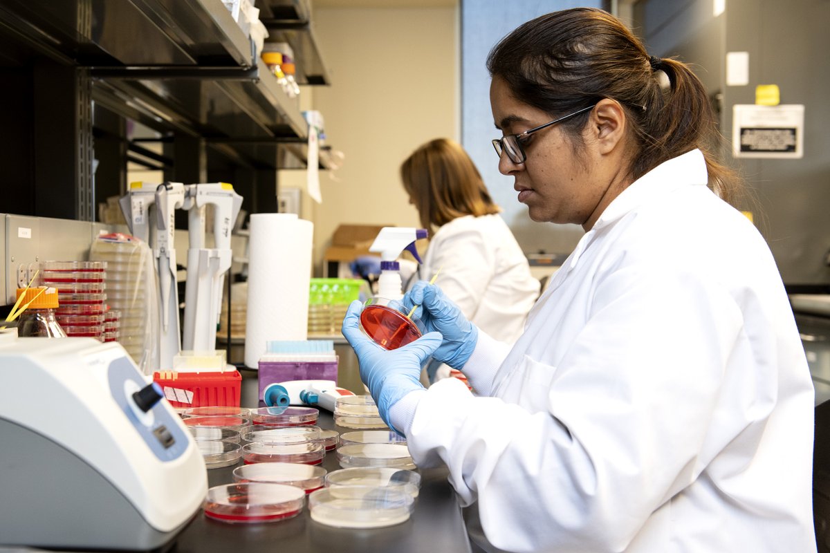 Arkansas Center for Food Safety tweet media