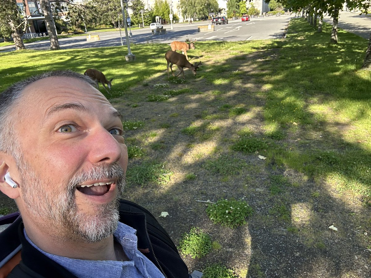 Interrupted <a href="/DHSI_Deer/">DHSI Deer</a> during breakfast this morning. Glad I finally got to say hello! #dhsi24