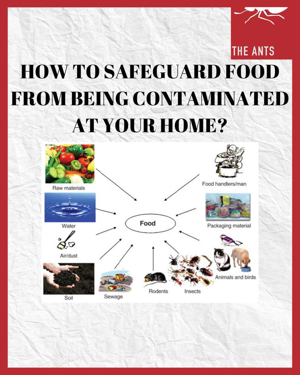 theantsofficial's tweet photo. "Food Safety: Prepare for the Unexpected"

It’s #WorldFoodSafetyDay - a global day to address foodborne illness and take measures to ensure good, nutritious, and non-poisonous food for all.

Let’s swipe and check how to take a precaution👇

1/5 https://t.co/TNo4Tq2PVl