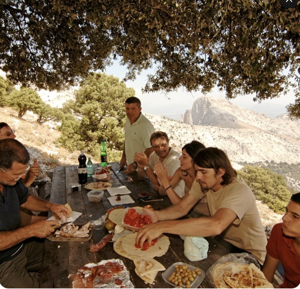 Carnivore Aurelius ©🥩 ☀️🦙 tweet media