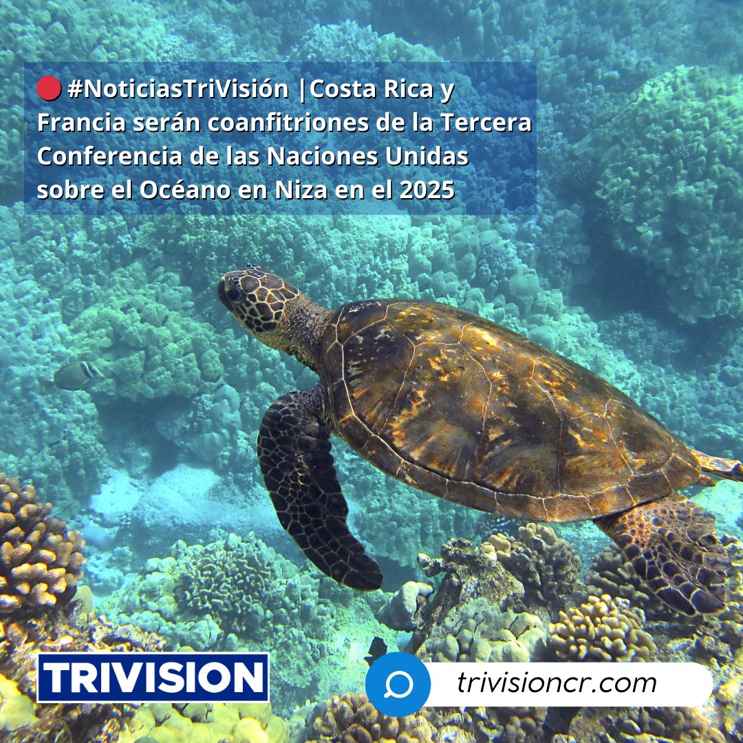 Trivision36CR's tweet photo. 🔴#NoticiasTrivisión | Costa Rica y Francia serán coanfitriones de la Tercera Conferencia de las Naciones Unidas sobre el Océano en Niza en el 2025. Las Naciones Unidas participan del "Evento de Alto Nivel sobre Acción Oceánica: Sumergidos en el Cambio" durante este fin de semana https://t.co/OND1oENFVv
