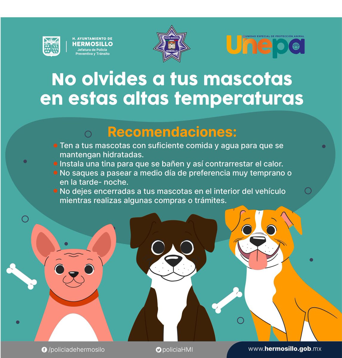 En esta temporada de #Verano con clima extremo de calor,  protejamos a nuestras mascotas y ayudemos a los animalitos en situación de calle ☀️🐾