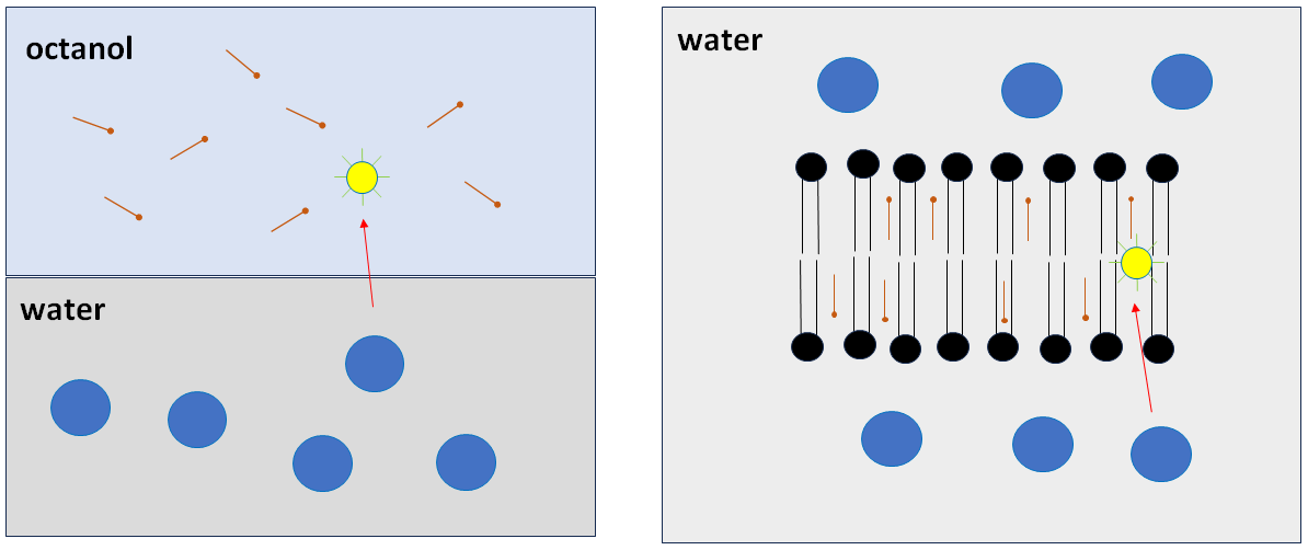 Lipozyme: a lipid aggregate capable of speeding up a chemical reaction.
doi.org/10.20944/prepr…
"Lipozyme activity demonstrated by lipid bilayer enabled ester hydrolysis"
#lipozyme #biochemistry #lipidomics