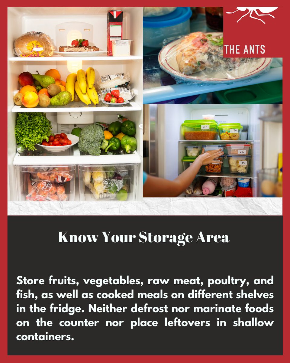 theantsofficial's tweet photo. 5/5 Know Your Storage Area https://t.co/W9nwCms4UL