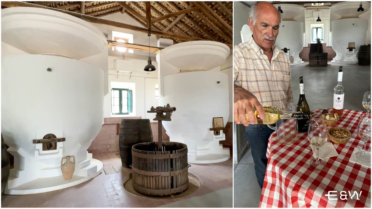 𝐏𝐨𝐫𝐭𝐮𝐠𝐮𝐞𝐬𝐞 𝐟𝐨𝐨𝐝: 𝐭𝐡𝐞 𝐛𝐞𝐬𝐭 𝐰𝐢𝐧𝐞𝐬 𝐚𝐧𝐝 𝐭𝐫𝐚𝐝𝐢𝐭𝐢𝐨𝐧𝐚𝐥 𝐝𝐢𝐬𝐡𝐞𝐬
Discover Portuguese food &amp; let yourself be carried away by flavours and aromas that will surprise you: Portuguese dishes and wines recognized worldwide... bit.ly/4bUQiHZ