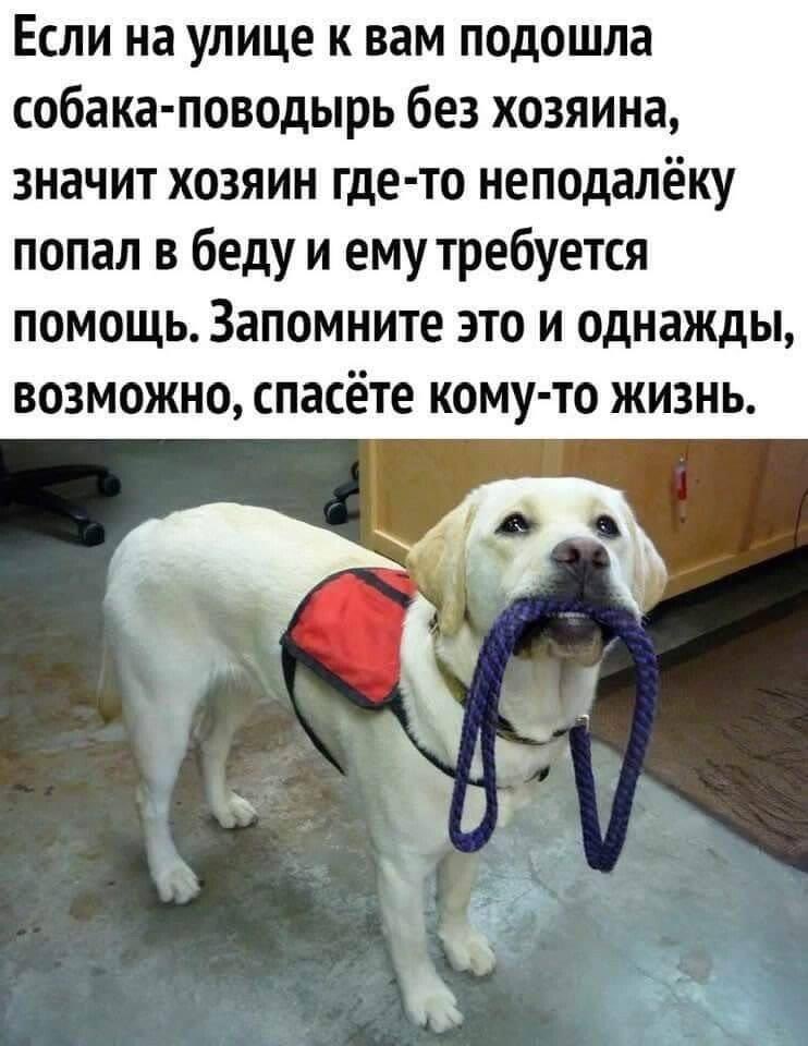 vakurov_ru's tweet photo. Запомни и передай дальше https://t.co/P2JnX3D7nO
