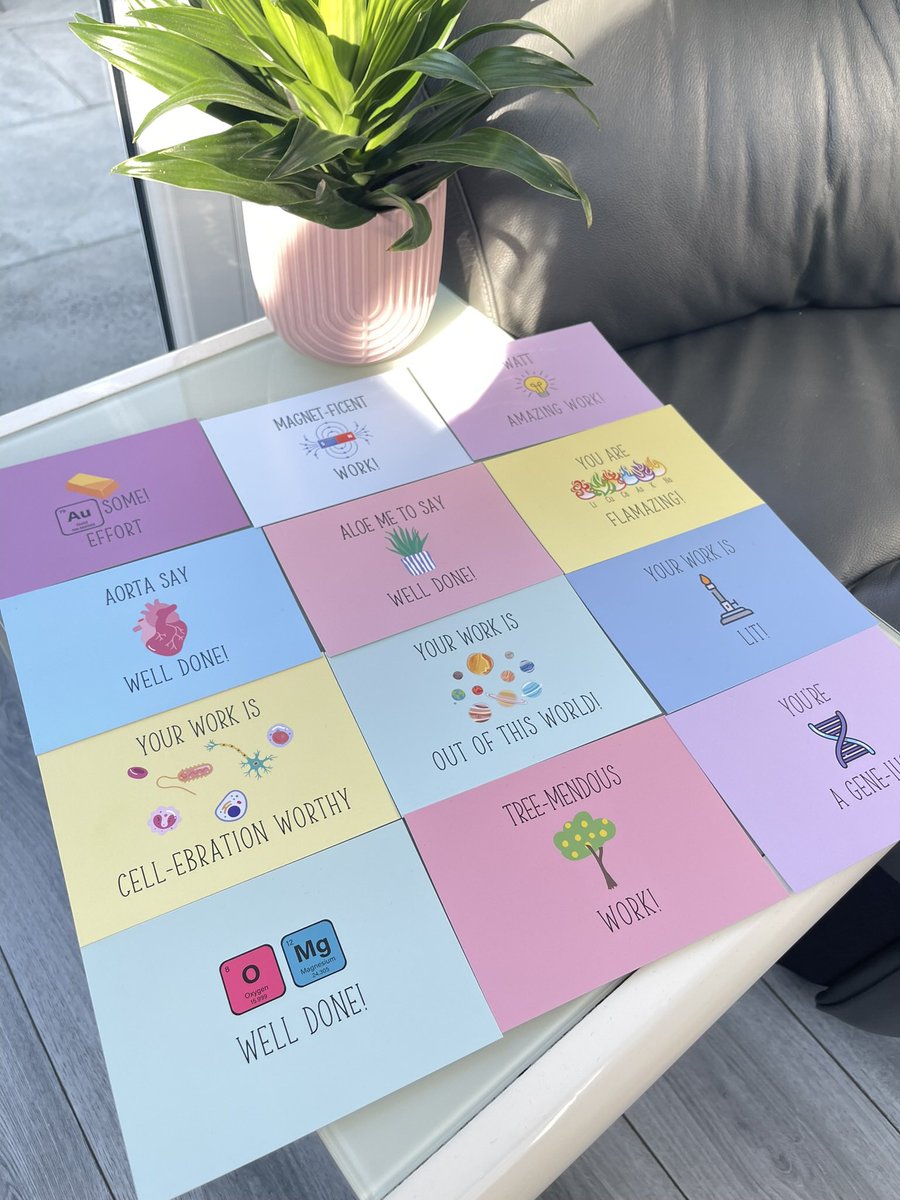 ZNlabels tweet media