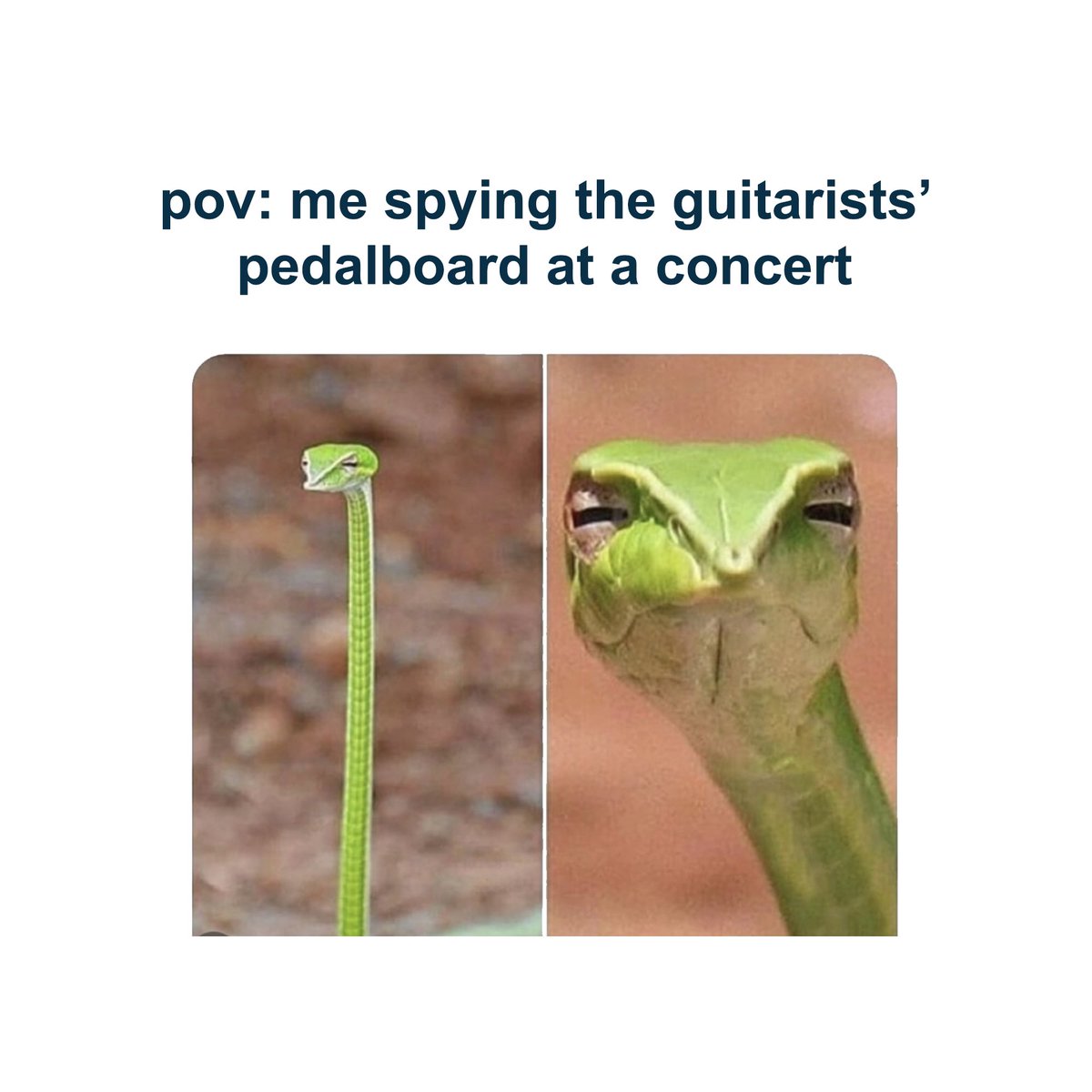 wheelof5ths's tweet photo. ๐ Follow @wheelof5ths for music memes, theory lessons and much more.
#musicmeme #musicmemes #meme #memes #musicproducer #musicproduction #musictheory #majorscale #minorscale #chords #musiclesson #musicnerd #musicians #pedalboard #guitars #guitarpedals https://t.co/JmfLqNaK9Y