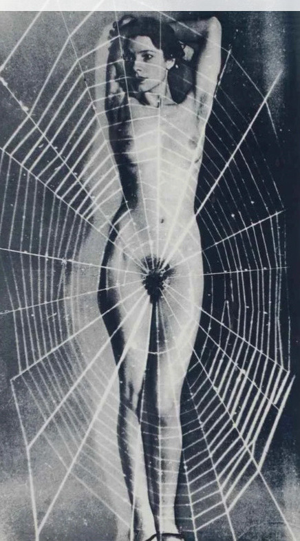 el_zombo's tweet photo. Spider Woman, Man Ray, c. 1929 https://t.co/n2geF87V0H