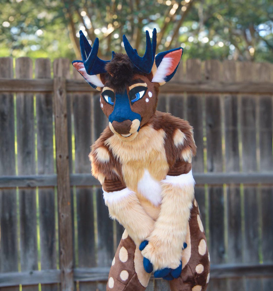 Werovester's tweet photo. Fullsuit I recently completed for a commissioner! Bally the deer 🦌 
#fursuit #deerfursuit #fursuitmaker https://t.co/g2kgDoYRkp