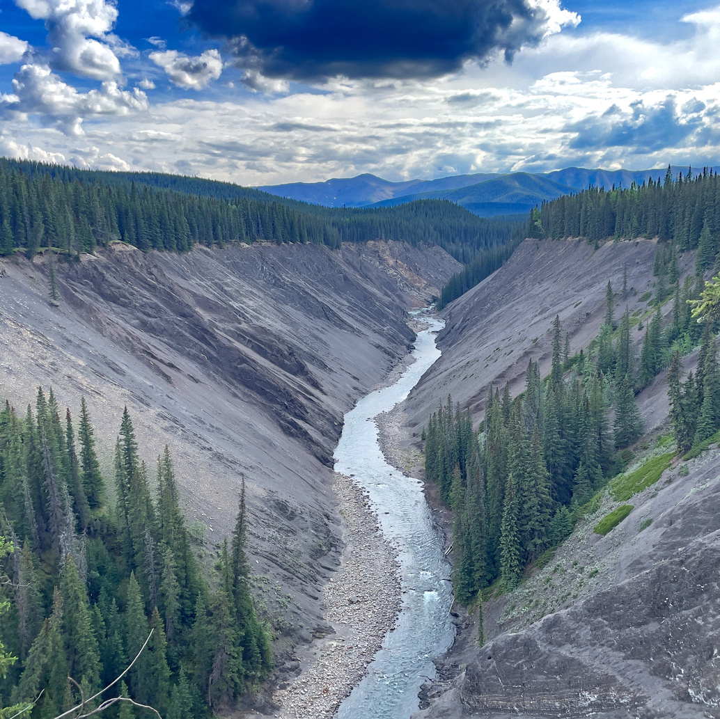 EricTAdventures's tweet photo. The wonderful views inside Ram Falls Provincial Park
#rockymountainhouse #clearwatercounty #dtcountry #albertaparks #travelalberta #abparks #albertatravel #explorecanada #explorealberta #albertasheep #ramfallsprovincialpark #ramfallspp #ramfalls #albertawaterfalls #albertafalls https://t.co/A9abGbwq6j