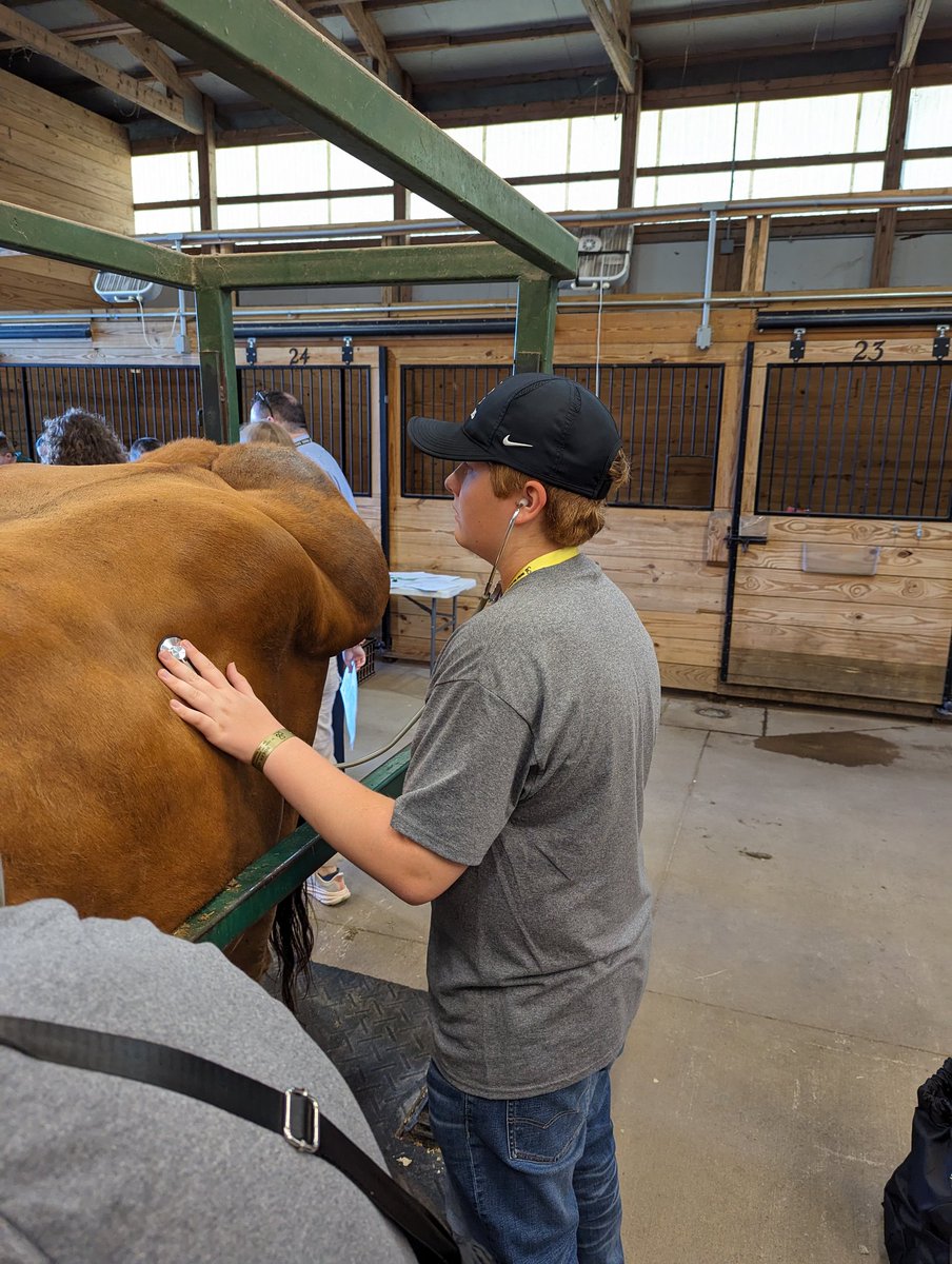 BoilerVetCamp's tweet photo. #teamllama stethoscope practice https://t.co/heEQBM1JRG