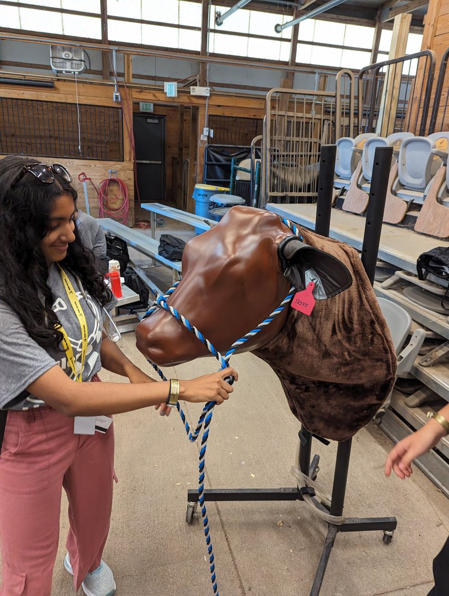 BoilerVetCamp's tweet photo. #teamllama practice then do. https://t.co/7Ihh0CUz2Q