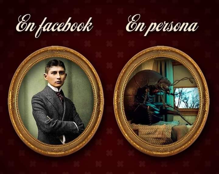 HistoriasLitera's tweet photo. 😂😂😂
Créditos a quien corresponda por esta maravilla

#ViernesDeHumorLiterario https://t.co/4X4BLbYuDU