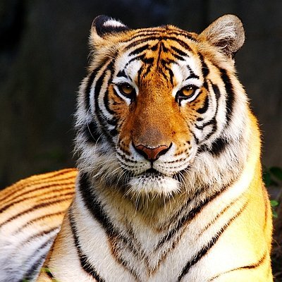Bilgisayar ve yazılım mühendisliği bölümü olmayan bir üniversitenin temsilcileriydik. Eylül ayı gibi tekrar aktif hale gelecegiz.
