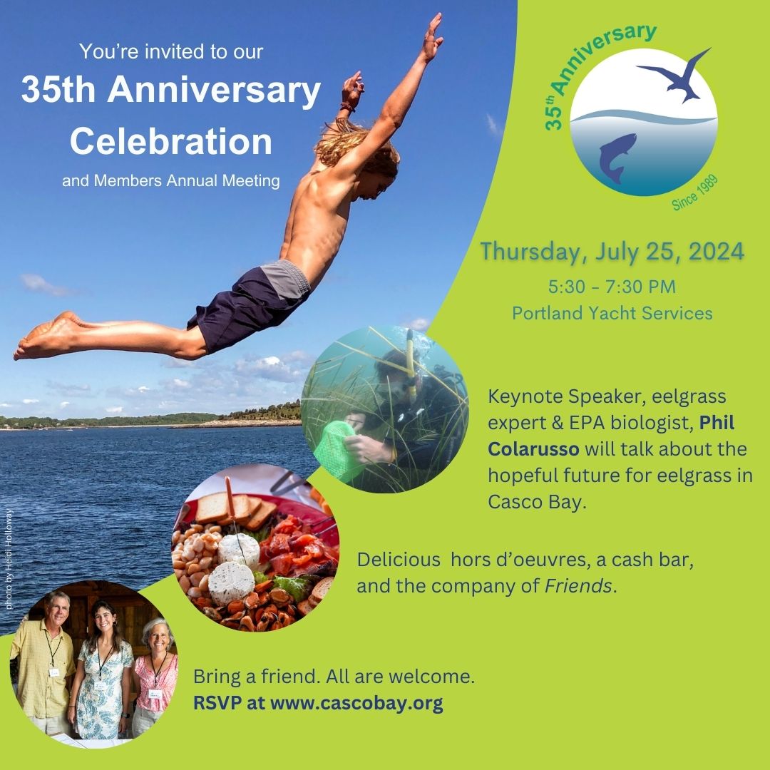 We're so excited to be turning 35! Join us to celebrate three and a half decades of protecting the health of the Bay and highlighting a special unsung hero of Casco Bay: EELGRASS!

We invite you to wear green in honor of eelgrass.

RSVP and Learn More! cascobay.org/35th-anniversa…