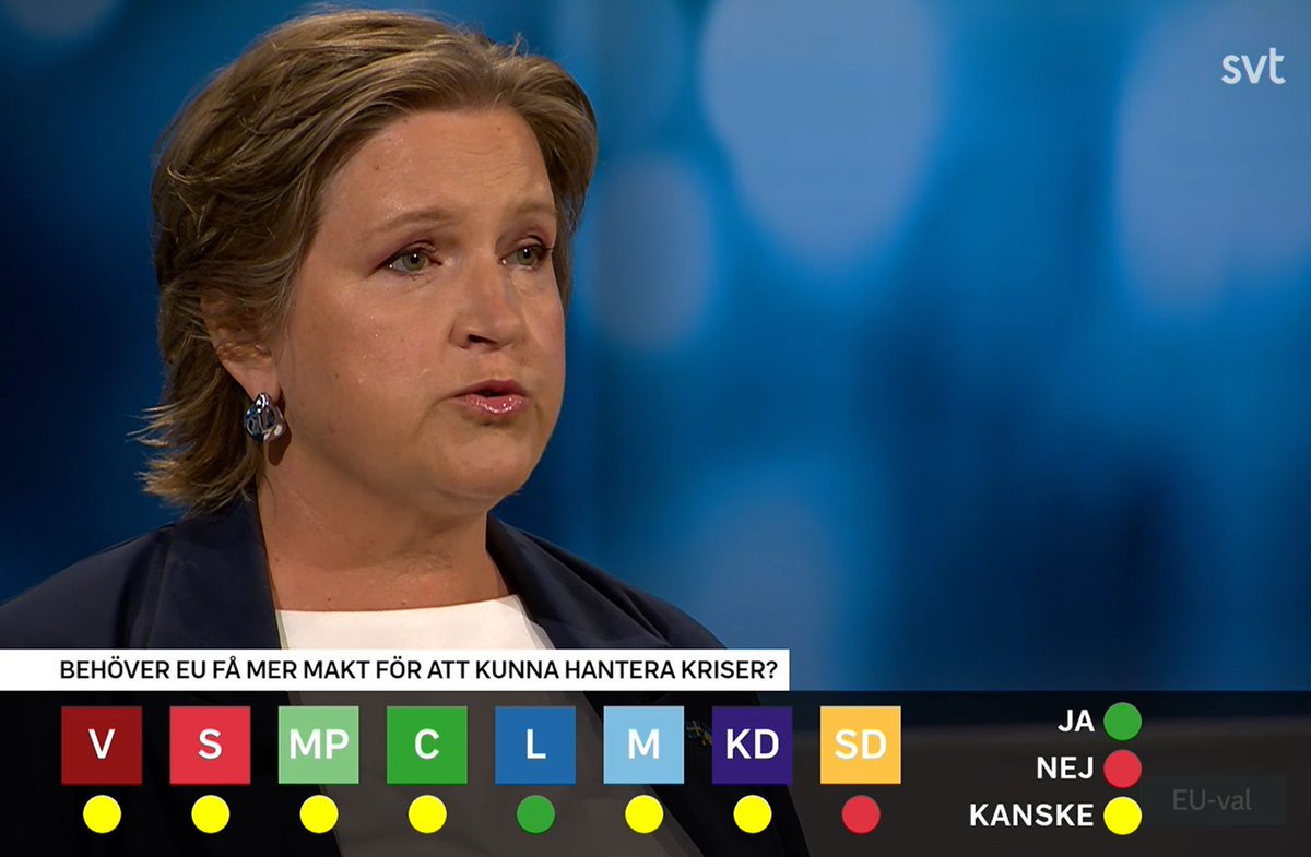 Det finns bara ett parti att rösta på om man vill ha ett starkare Europa.