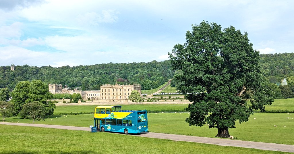 David Pearson tweet media