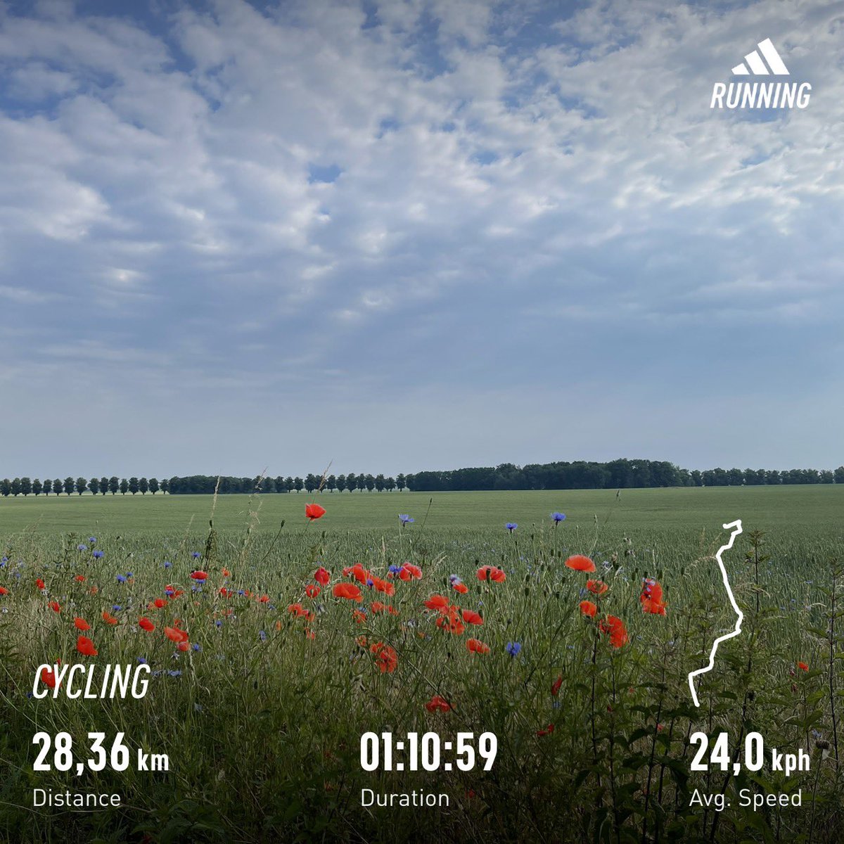 Atirb1972's tweet photo. @Arthrosezentrum Ja ganz schlimm an Feldern vorbei zur Arbeit. https://t.co/98tj7nIfDv