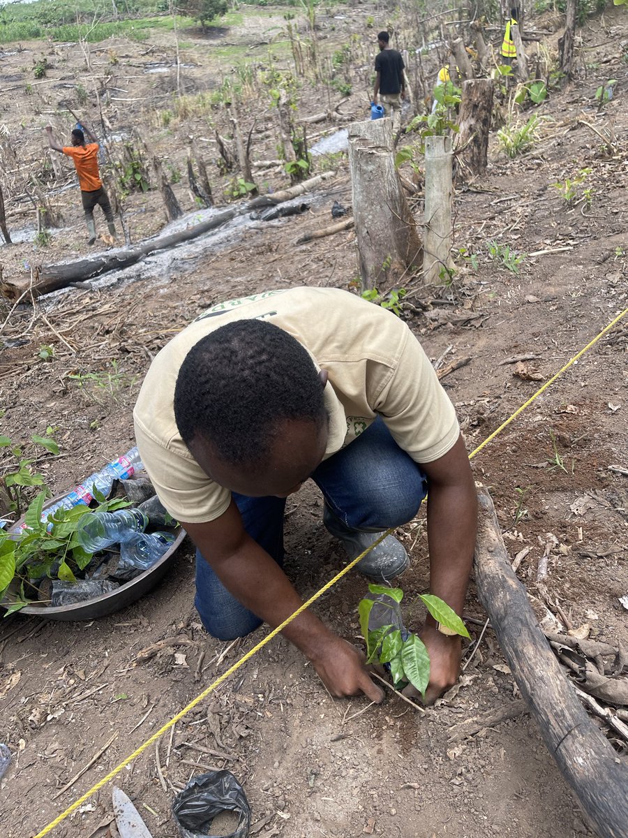 EcoWild Conservation (@ecowildghana) on Twitter photo #GreenGhanaDay2024 at Mankrang Forest Reserve with <a href="/InecGhana/">Institute of Nature & Environmental Conservation</a> #GreenGhanaDay2024 at Mankrang Forest Reserve with <a href="/InecGhana/">Institute of Nature & Environmental Conservation</a>