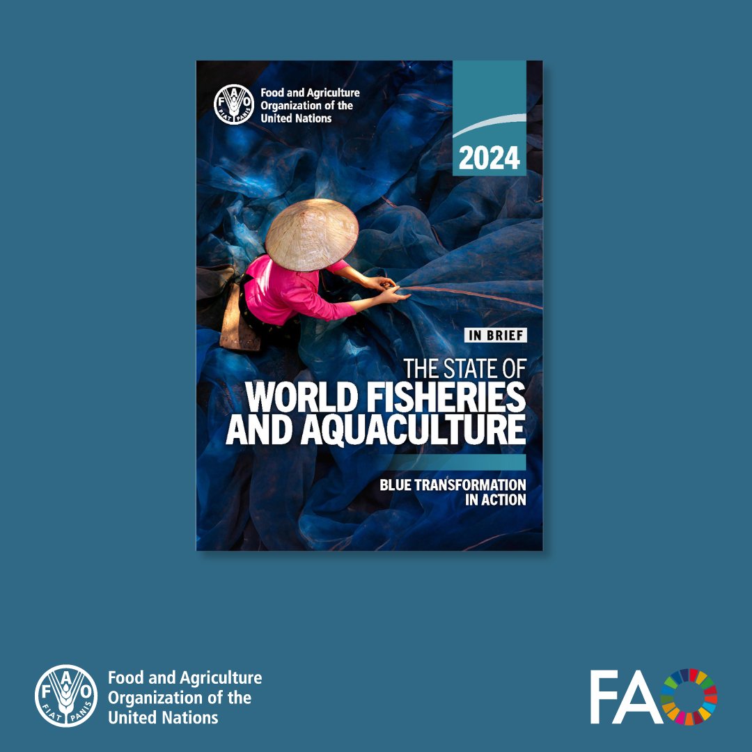 FAOKnowledge's tweet photo. The 2024 edition of The State of World Fisheries and Aquaculture features updates on:
 
🔹 statistics, trends &amp; projections on the sector
🔹 state &amp; health of marine fisheries resources
🔹 #BlueTransformation in action
 
👉 https://t.co/97Ejxn3yqp
 
#SOFIA2024 https://t.co/qHgI5WzxMw