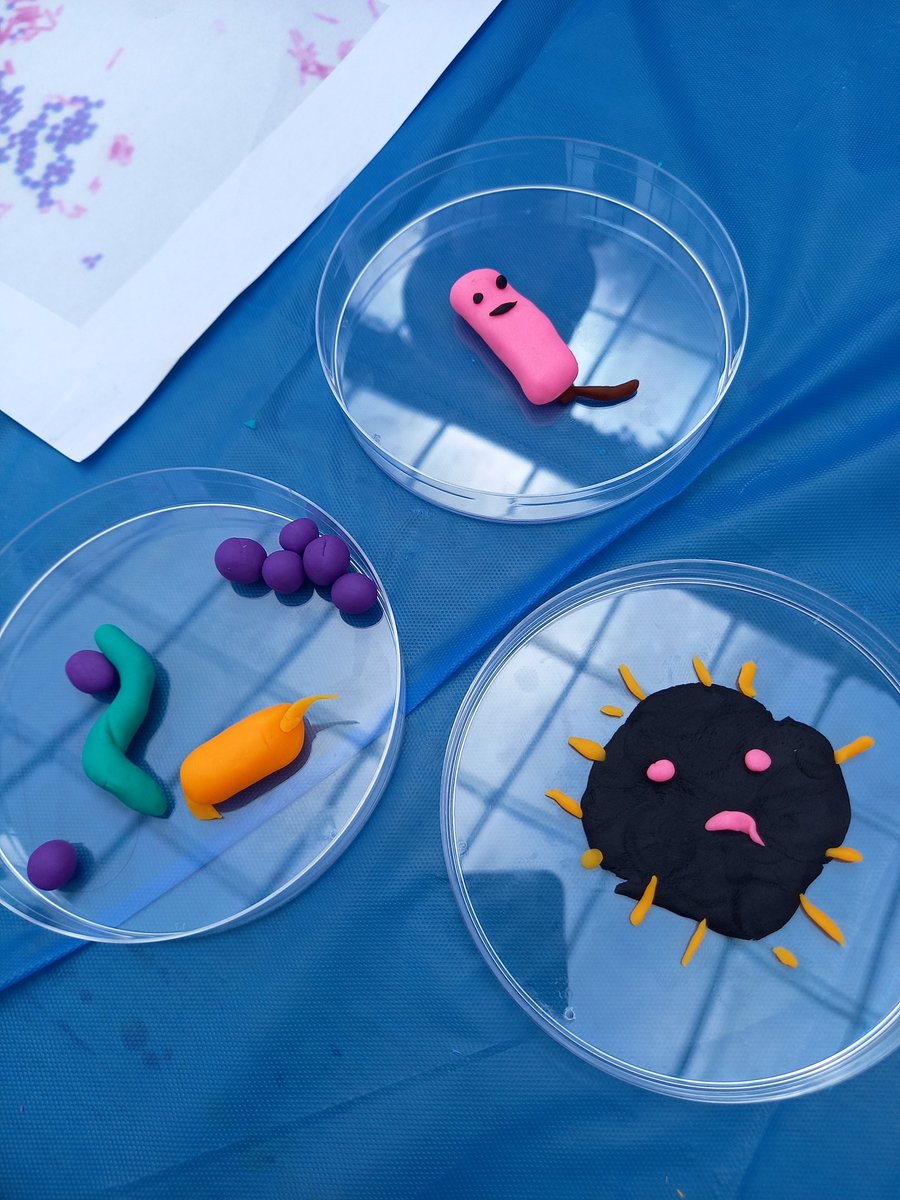 InfectionPrevention tweet media